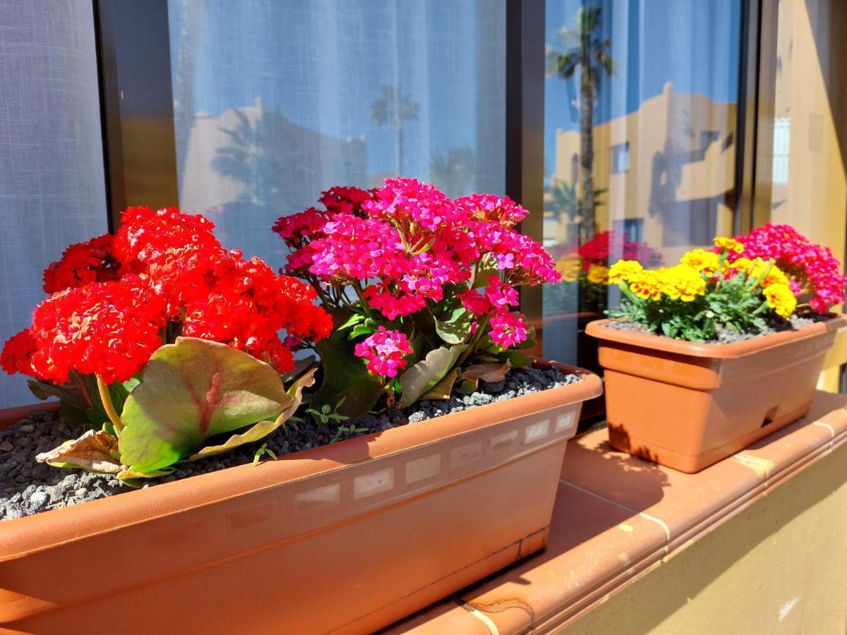 קורלחו Casa Ledu - Sunny Holiday In Fuerteventura מראה חיצוני תמונה